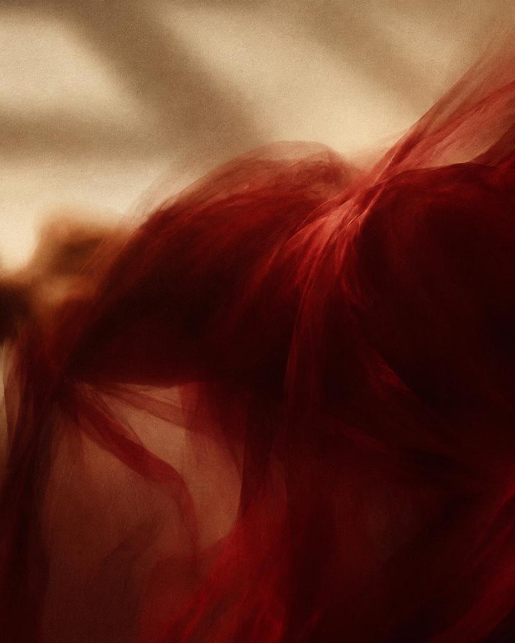 a soft blurred figure at rest on a bed of deep red fabric, no face visible